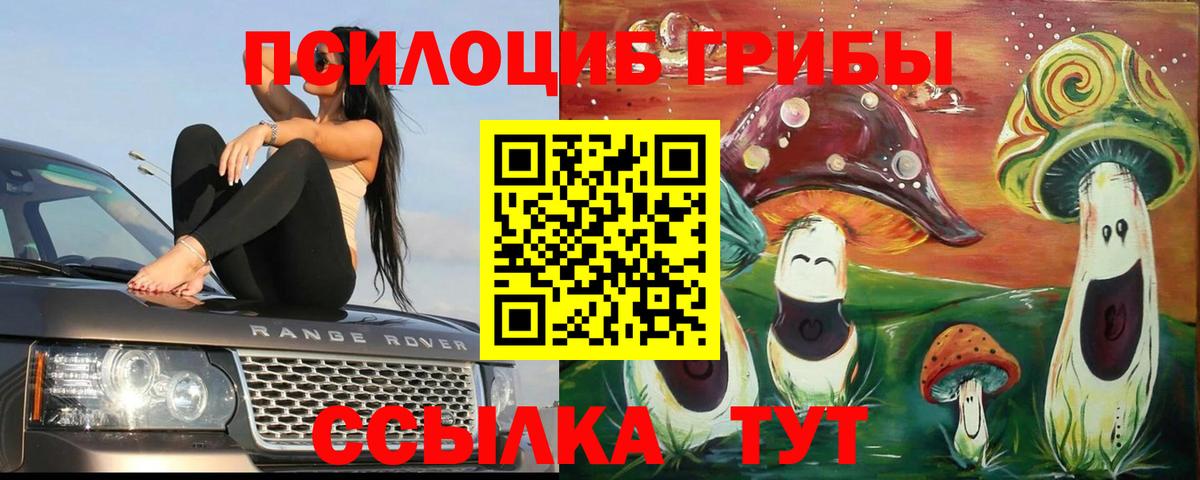 Галлюциногенные грибы MAGIC MUSHROOMS Курчатов