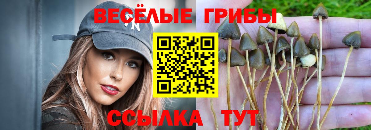 Галлюциногенные грибы мицелий  Вход с VPN  Псилоцибиновые грибы мицелий  Курчатов 