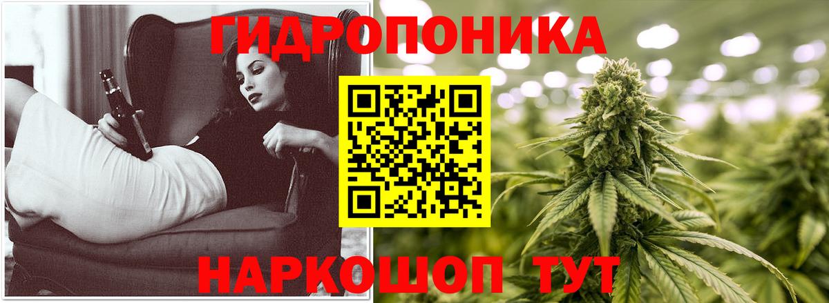 Шишки марихуана THC 21% Курчатов